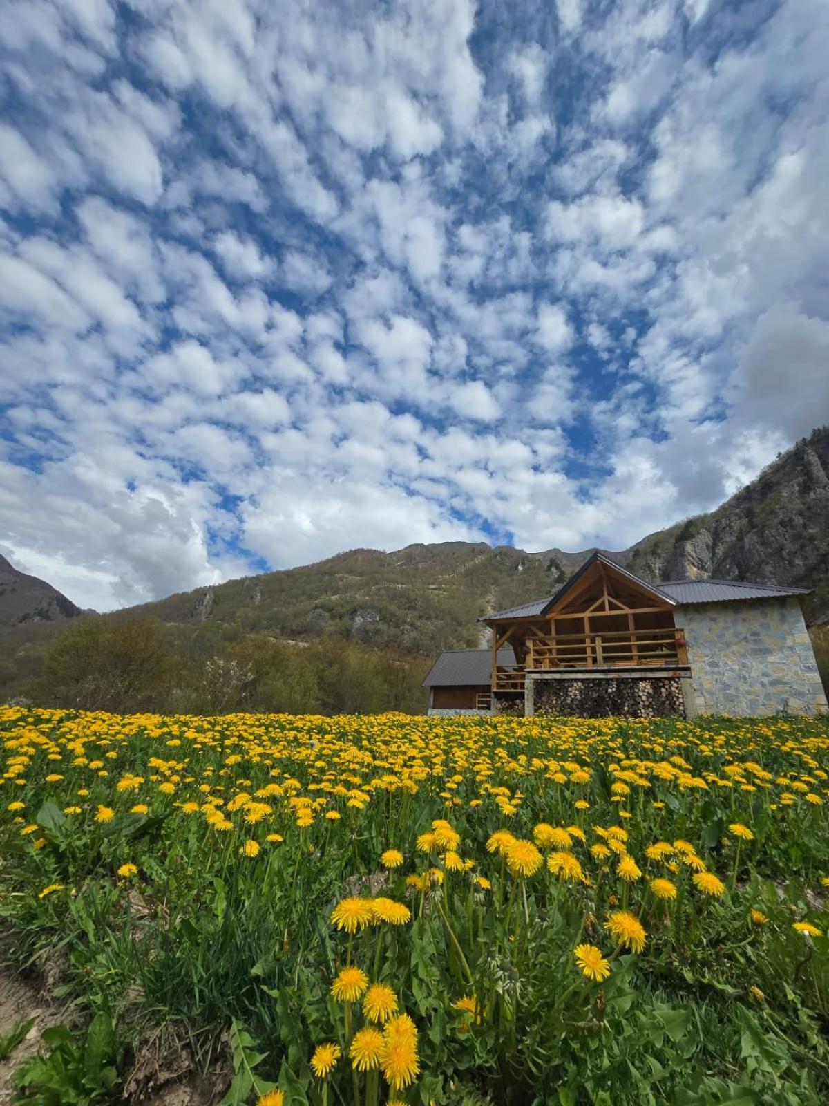 Ethno Star Bojovic Guest House Gusinje Exterior foto